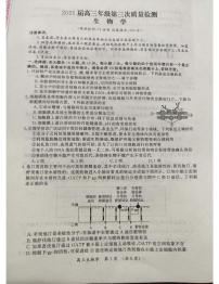 2025届河南省开封市等2地高三三模生物试题（高考模拟）