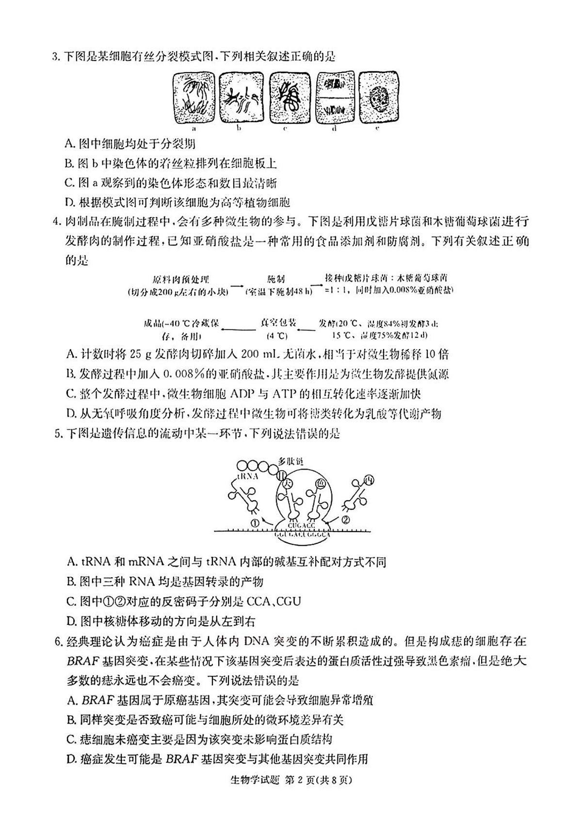 炎德英才名校联合体2025届高考考前仿真模拟联考(二)-生物试题无答案第2页