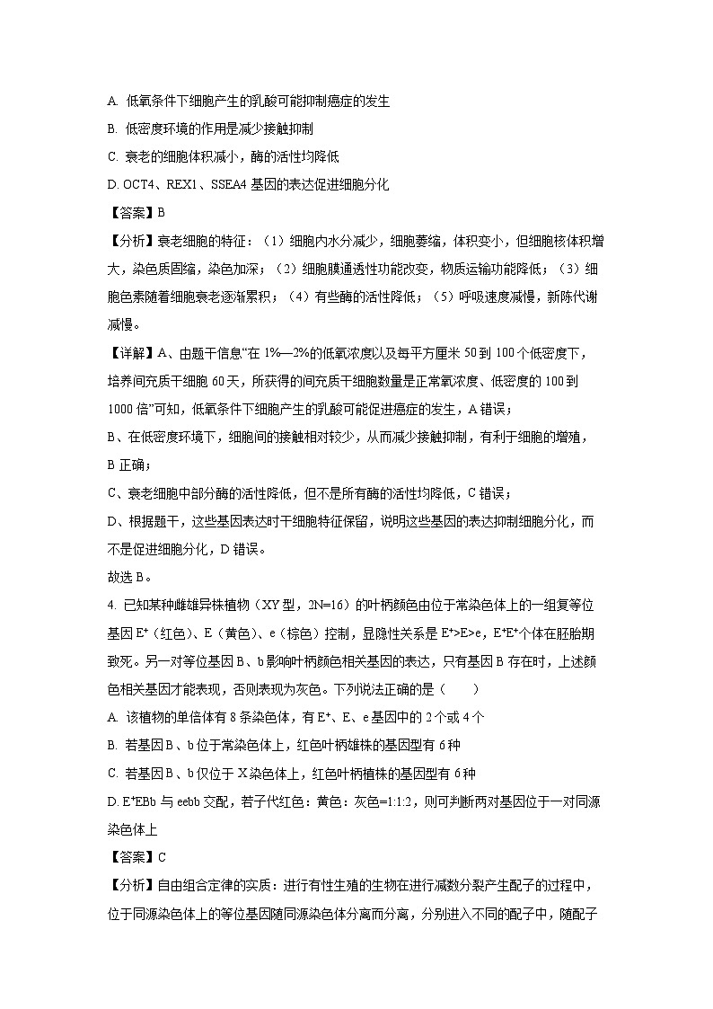 山东省泰安市2024-2025学年高三上学期1月期末考试A生物(解析版)第3页