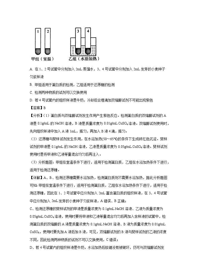 内蒙古自治区赤峰市红山区2024-2025学年高一上学期期末统考生物试卷(解析版)第2页