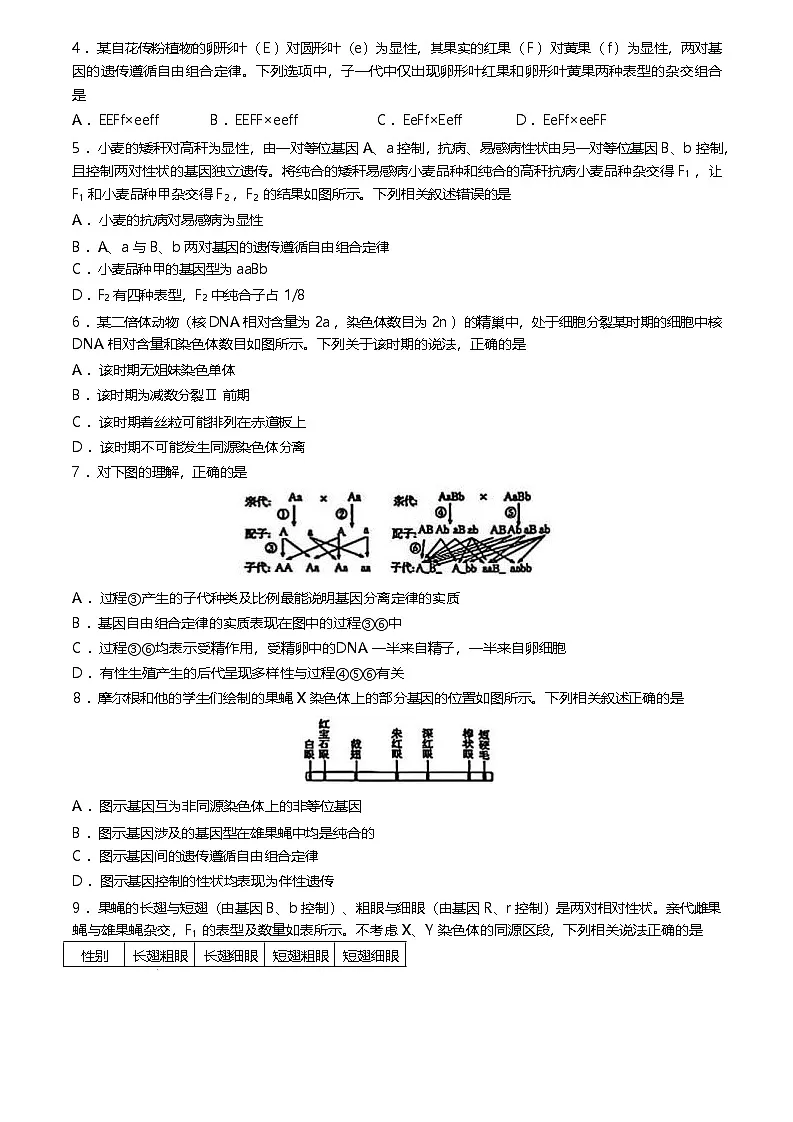 河北省保定市名校联盟2024-2025学年高一下学期4月期中考试 生物 含答案第2页
