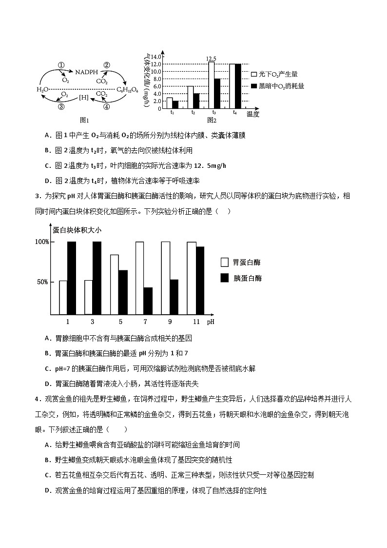 2025年高考押题预测卷:生物(黑吉辽蒙卷02)(考试版)第2页