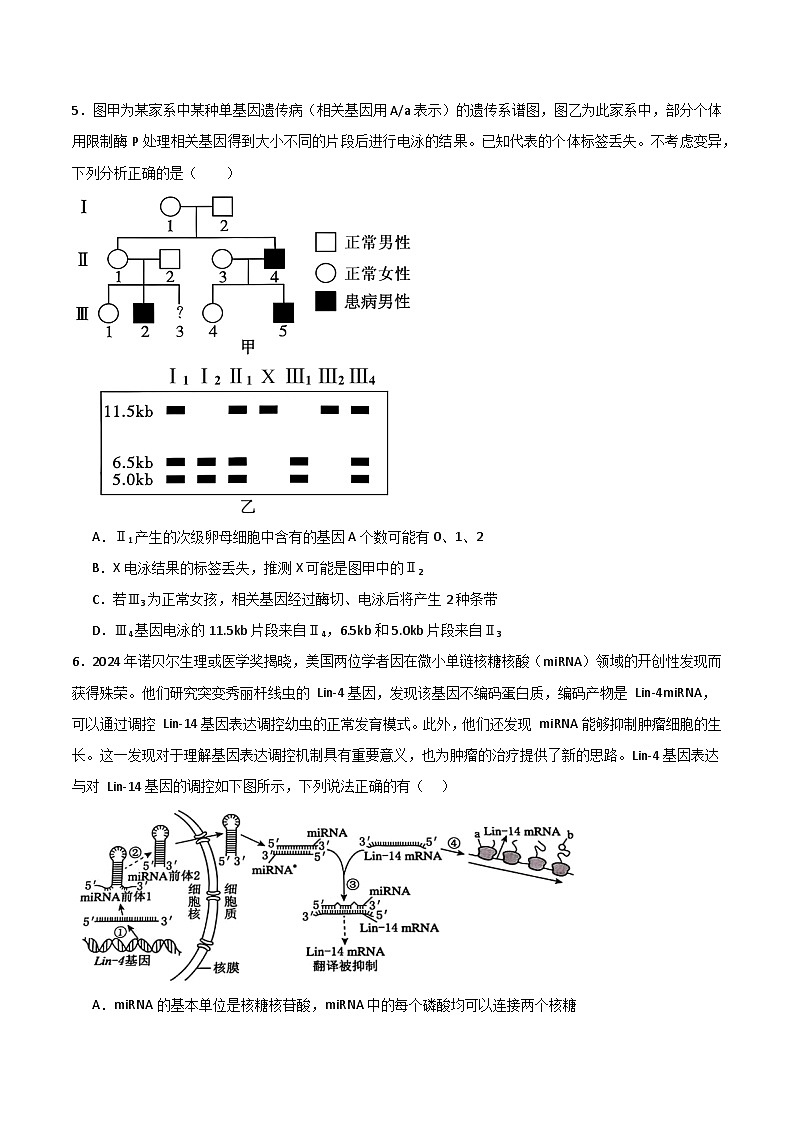 2025年高考押题预测卷:生物(黑吉辽蒙卷02)(考试版)第3页