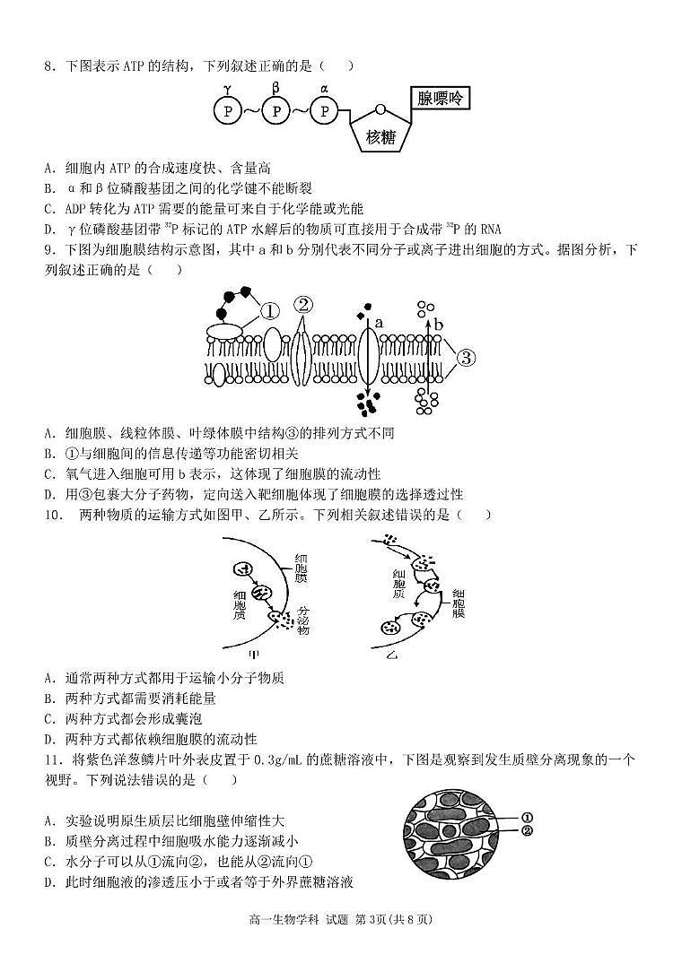 高一生物试题第3页