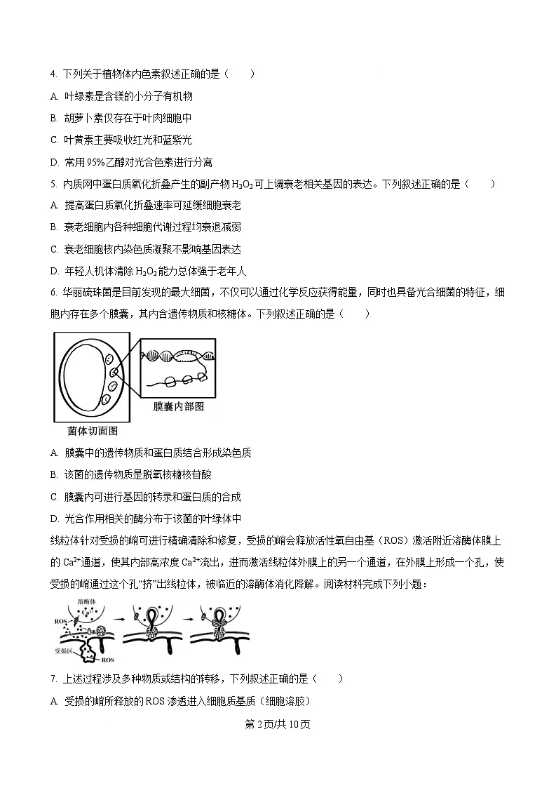 浙江省杭州及周边2024-2025学年高一下学期4月期中生物试题(原卷版)第2页