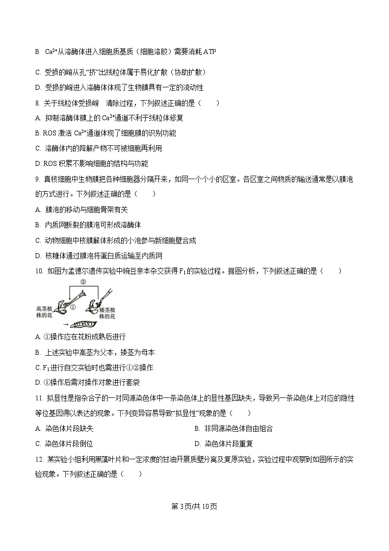 浙江省杭州及周边2024-2025学年高一下学期4月期中生物试题(原卷版)第3页