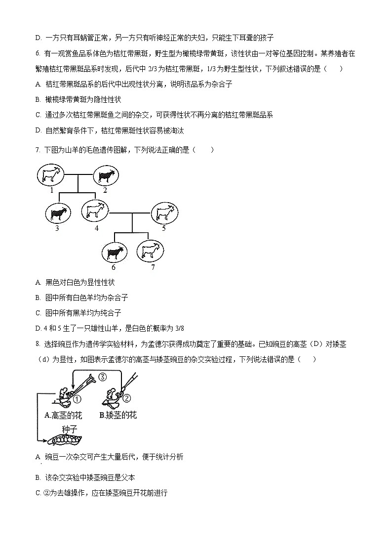 甘肃省白银市靖远县第四中学2024-2025学年高一下学期3月月考生物试题(原卷版+解析版)第2页