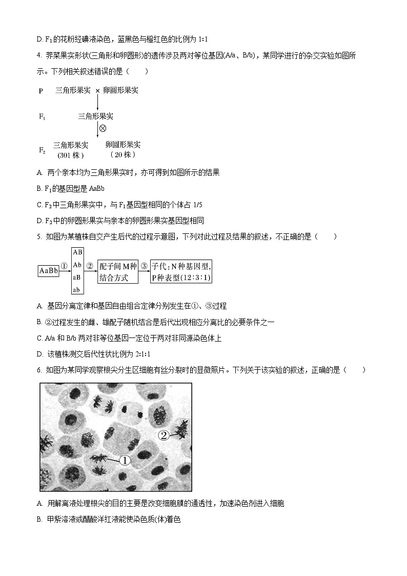 广东省第一次检测2024-2025学年高一下学期3月月考生物试题(原卷版+解析版)第2页