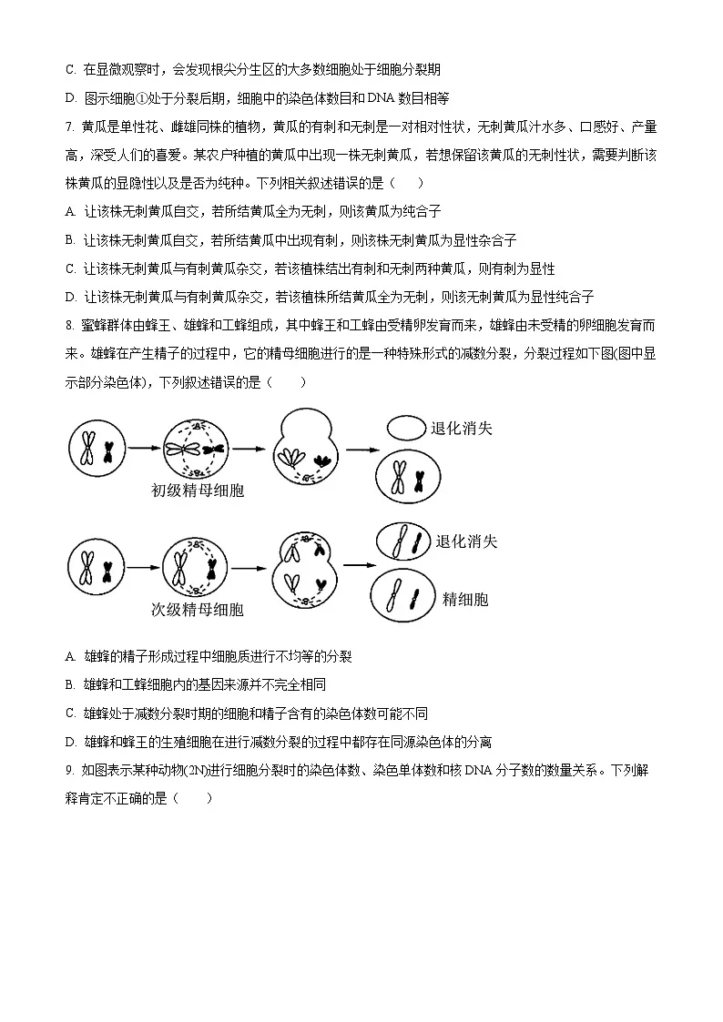 广东省第一次检测2024-2025学年高一下学期3月月考生物试题(原卷版+解析版)第3页