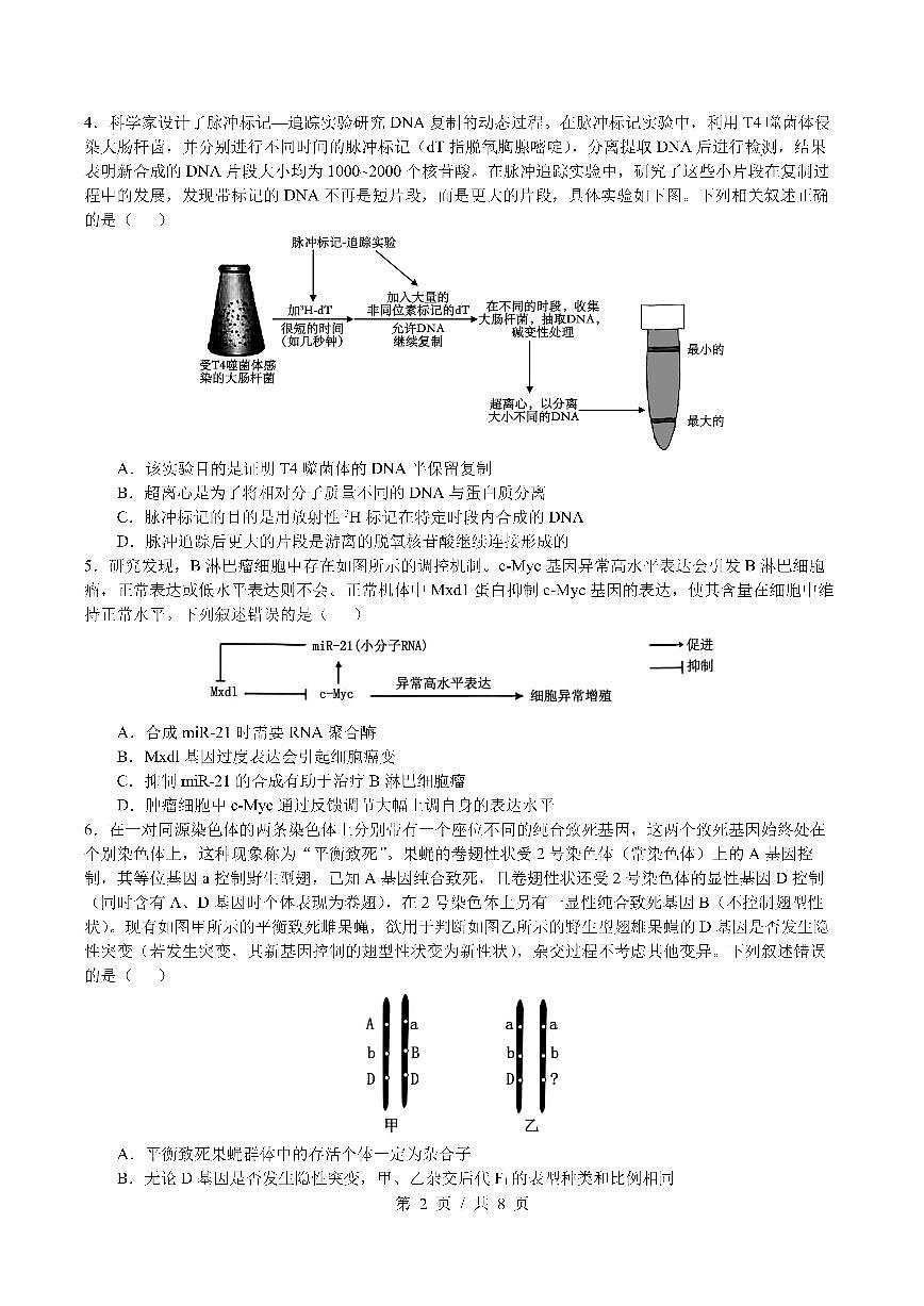 四川省成都市第七中学2024~2025学年度高考2025届三诊模拟考试生物第2页