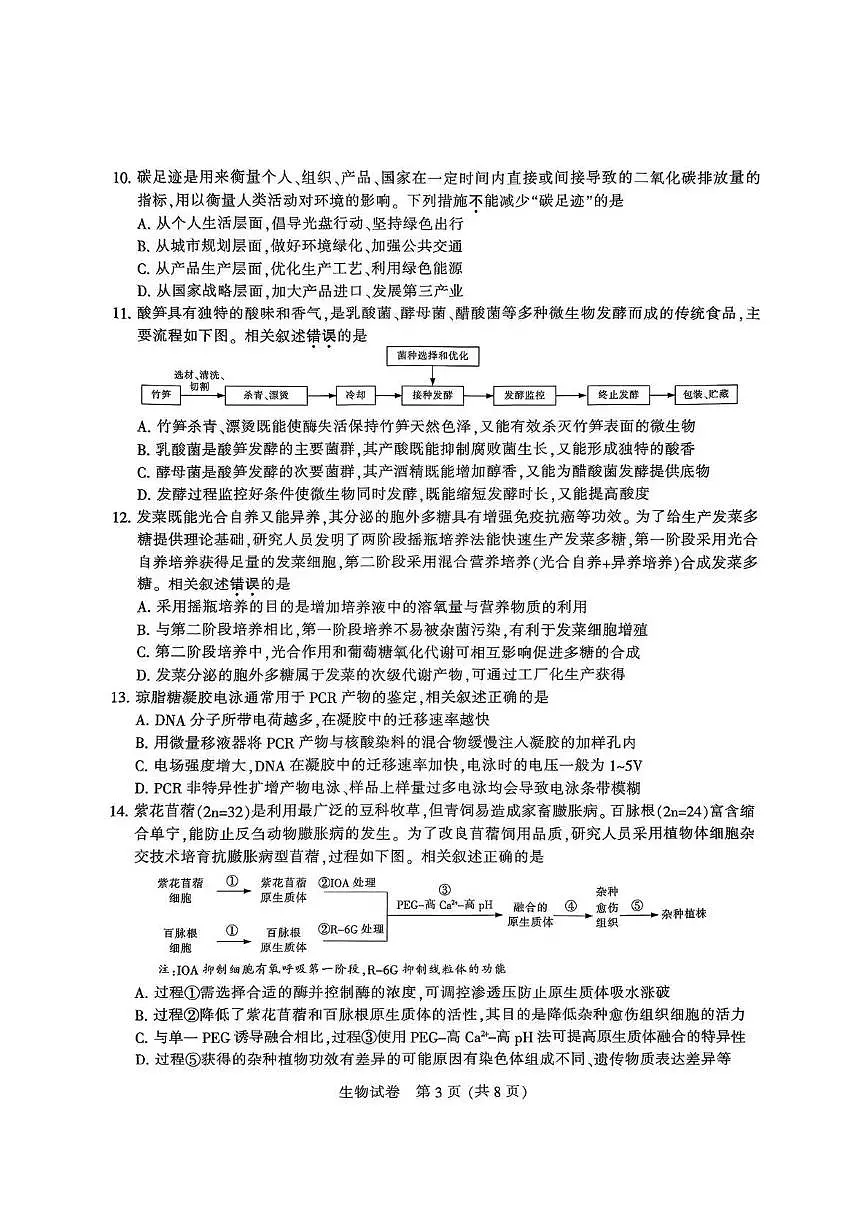 江苏省苏北八市2025届高三下学期5月三模试题(南通、泰州、扬州、徐州、连云港、淮安、宿迁、盐城) 生物 PDF版含答案第3页