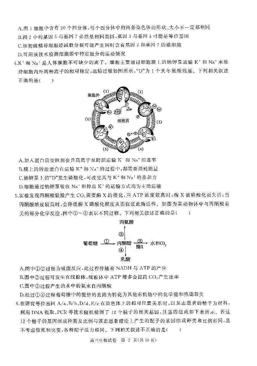 湖北省部分重点中学【生物试卷】第2页