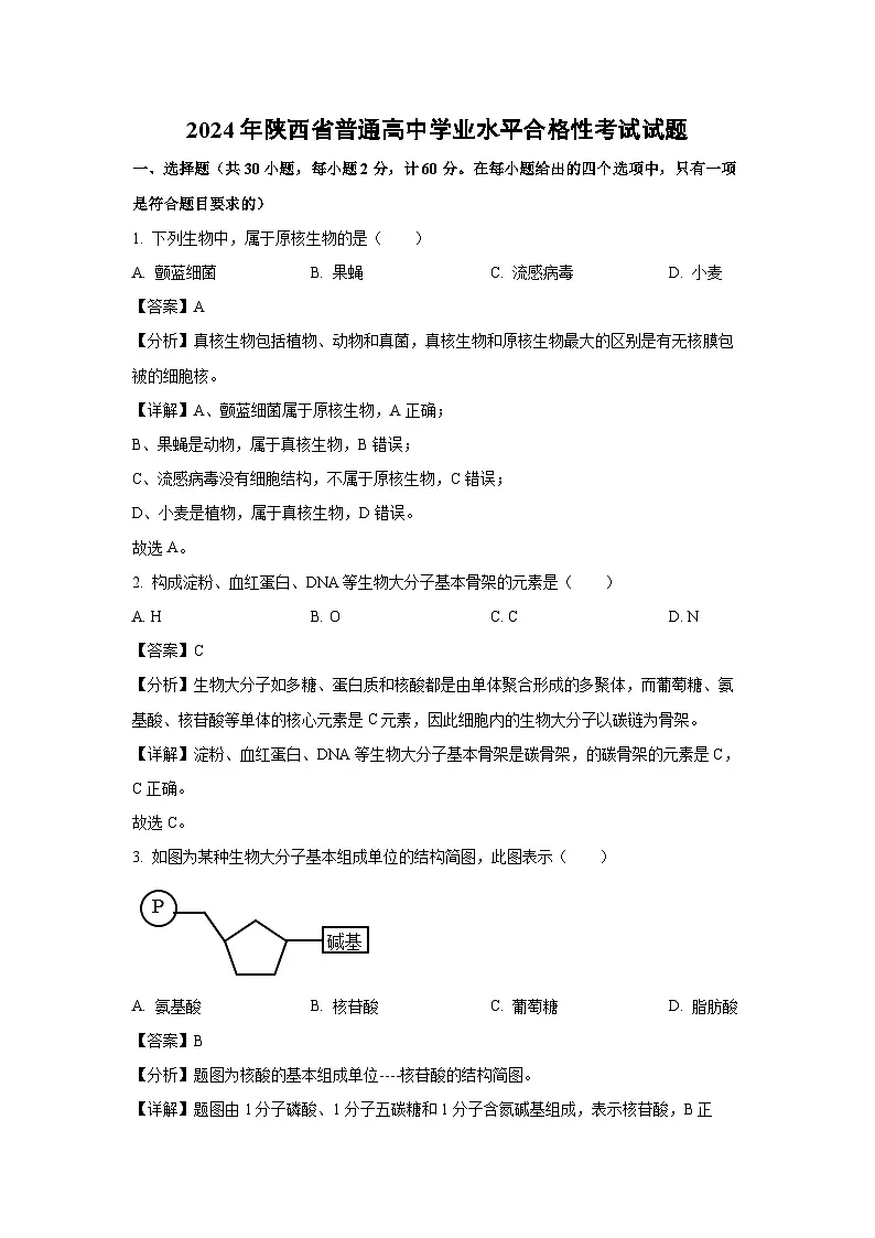 2024年陕西省普通高中学业水平合格性考试生物试卷(解析版)第1页