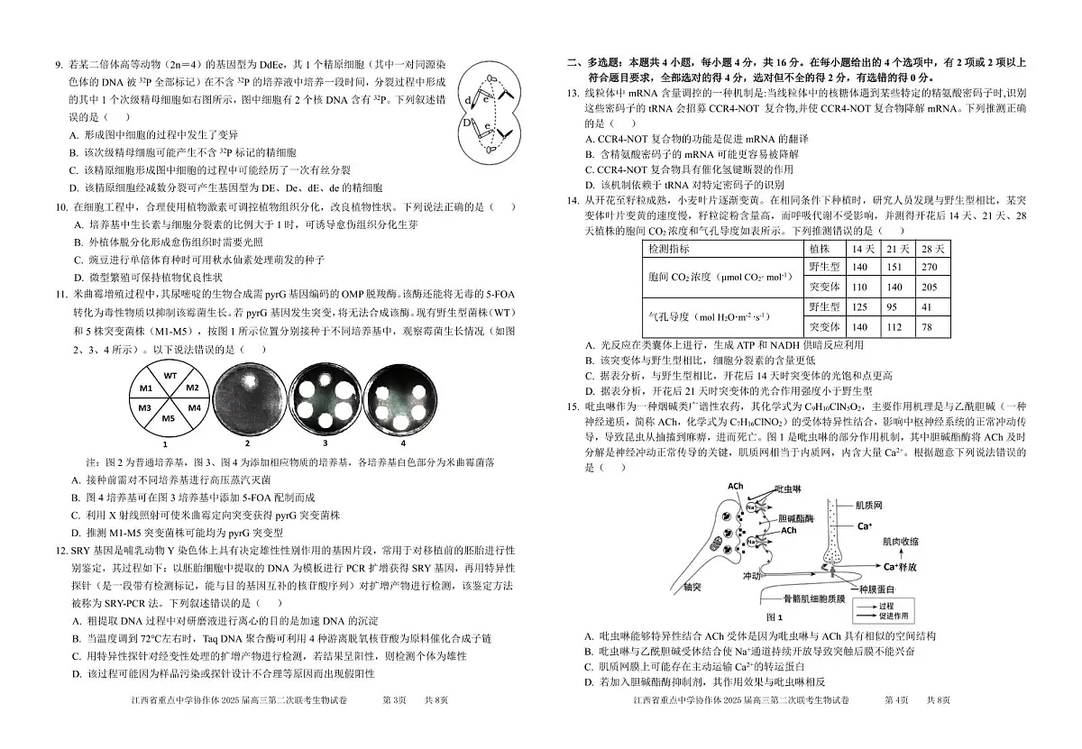协作体2025届高三第二次联考试卷_生物第2页