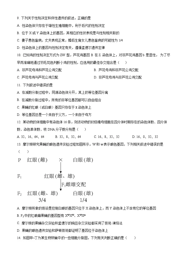 广西钦州市浦北中学2024-2025学年高一下学期3月检测生物试题(原卷版+解析版)第3页