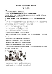 广西壮族自治区柳州高级中学2024-2025学年高一下学期4月期中生物试题(原卷版+解析版)