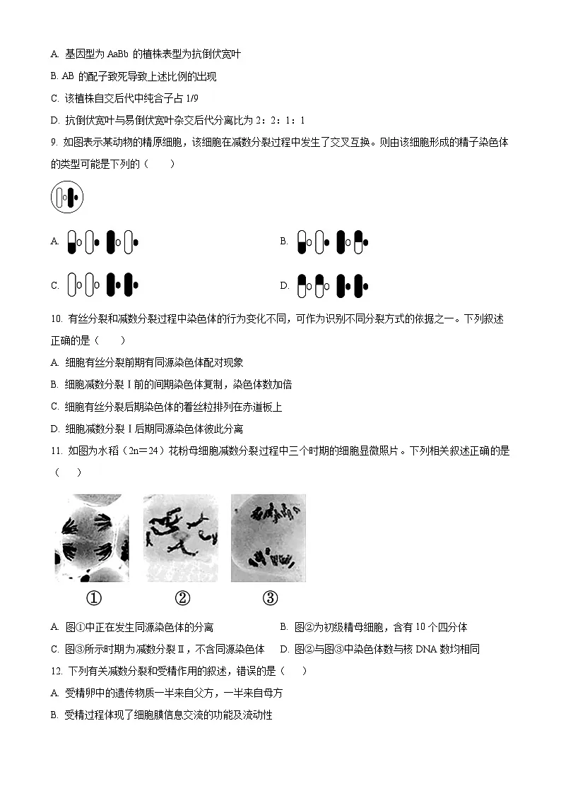 河南省洛阳市强基联盟2024-2025学年高一下学期3月月考生物试题(原卷版+解析版)第3页