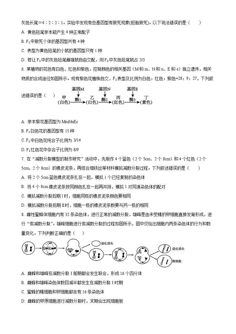 河南省南阳市方城县方城县第一高级中学2024-2025学年高一下学期3月月考生物试题(原卷版+解析版)第2页