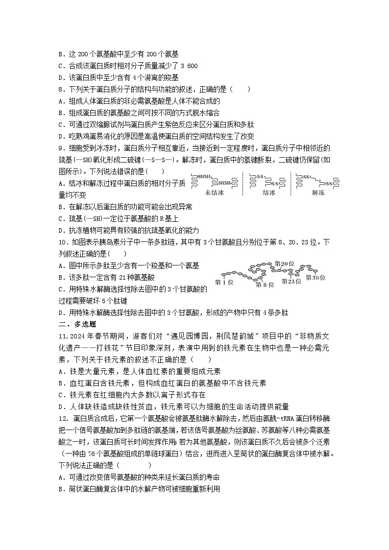 高中人教版生物必修1同步作业及答案-第二章 第四节 蛋白质是生命活动的主要承担着第2页