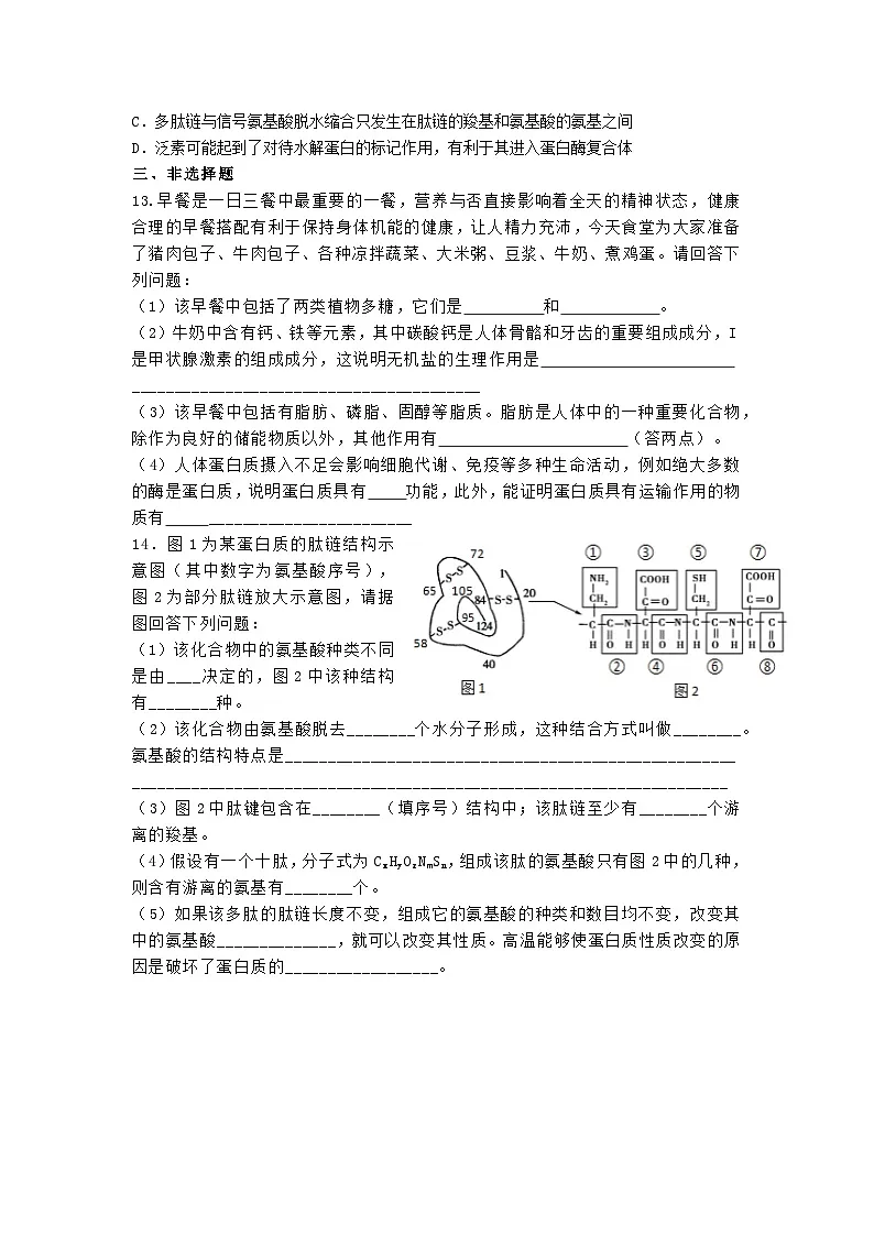 高中人教版生物必修1同步作业及答案-第二章 第四节 蛋白质是生命活动的主要承担着第3页