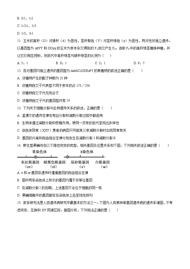 河南省郑州市实验高级中学2024-2025学年高一下学期3月月考生物试题(原卷版+解析版)第3页