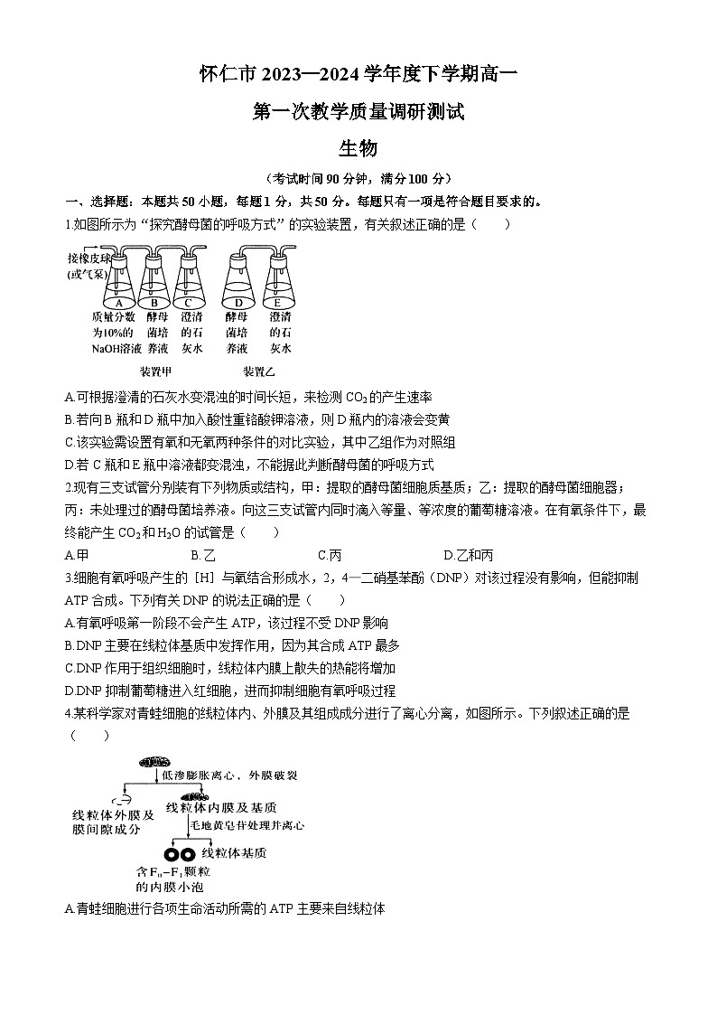 山西省朔州市怀仁市2023-2024学年高一下学期5月期中考试生物试题(含答案)第1页
