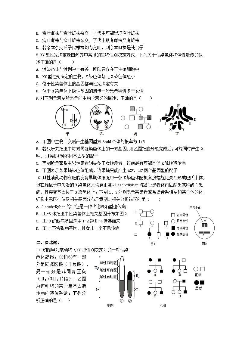 高中人教版生物必修2同步作业及答案-第2章 第3节 伴性遗传第2页