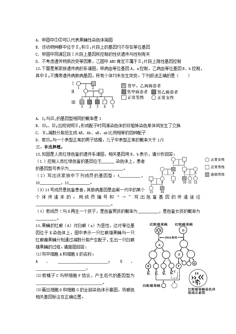 高中人教版生物必修2同步作业及答案-第2章 第3节 伴性遗传第3页