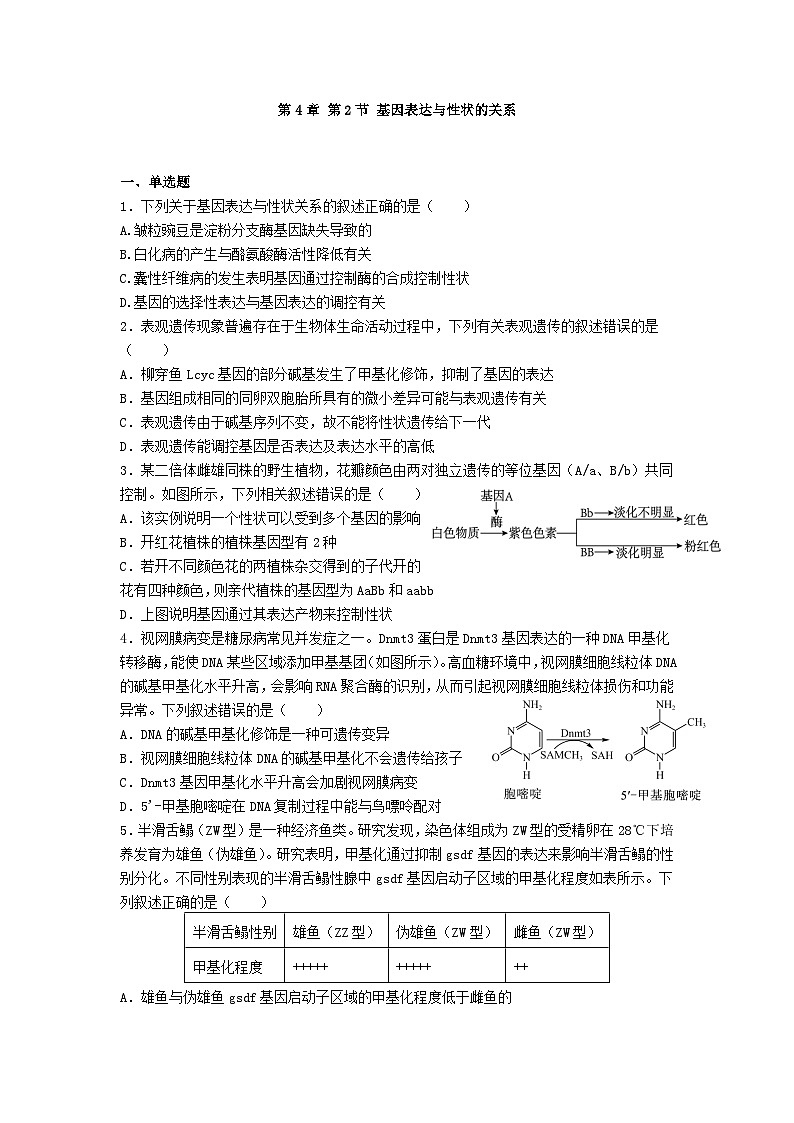 高中人教版生物必修2同步作業(yè)及答案-第4章 第2節(jié) 基因表達與性狀的關(guān)系第1頁