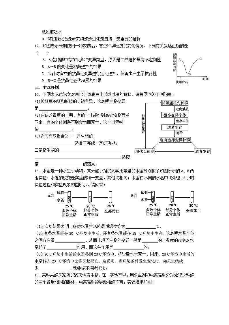 高中人教版生物必修2同步作業(yè)及答案-第6章 第2節(jié) 自然選擇與適應(yīng)的形成第3頁