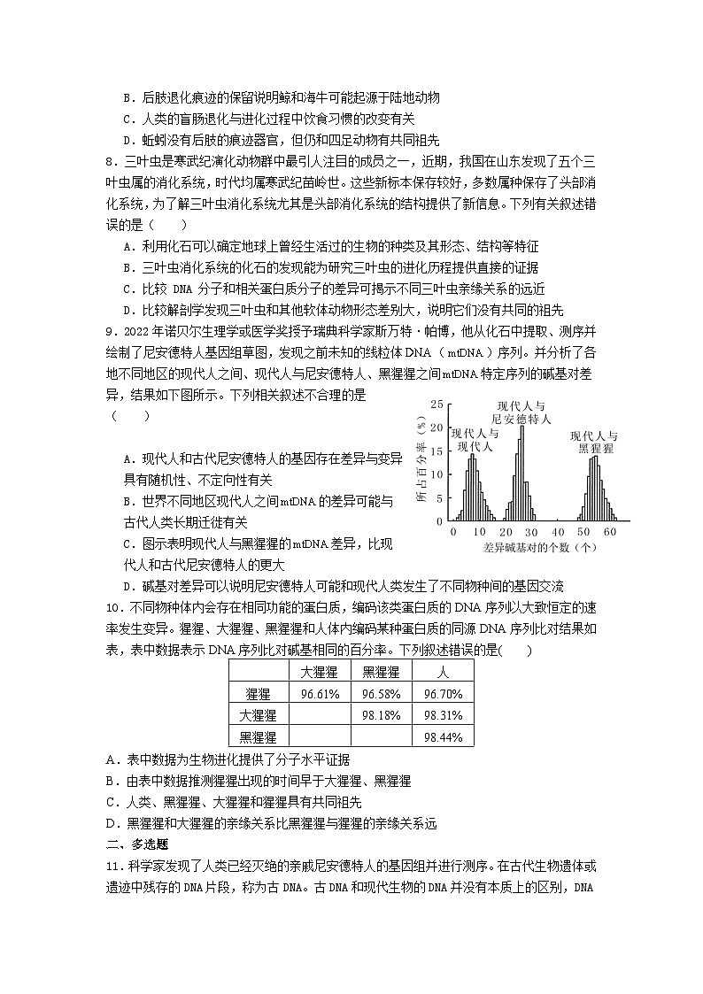 高中人教版生物必修2同步作業(yè)及答案-第6章 第1節(jié) 生物有共同祖先的證據(jù)第2頁