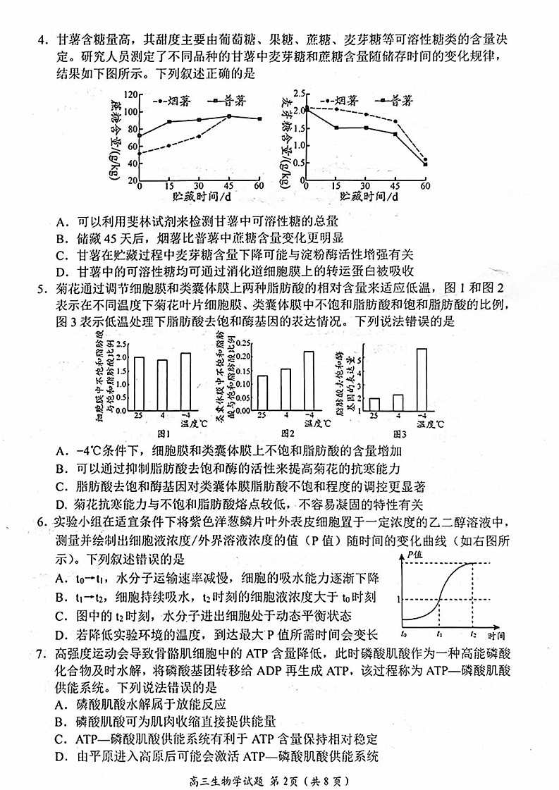 2025届山东省日照市高三上学期开学考试-生物试题(含答案)第2页