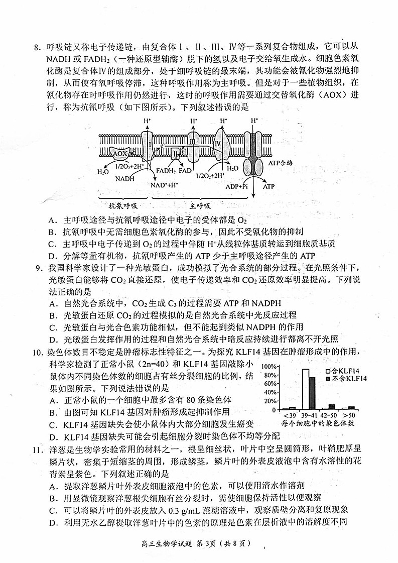 2025届山东省日照市高三上学期开学考试-生物试题(含答案)第3页