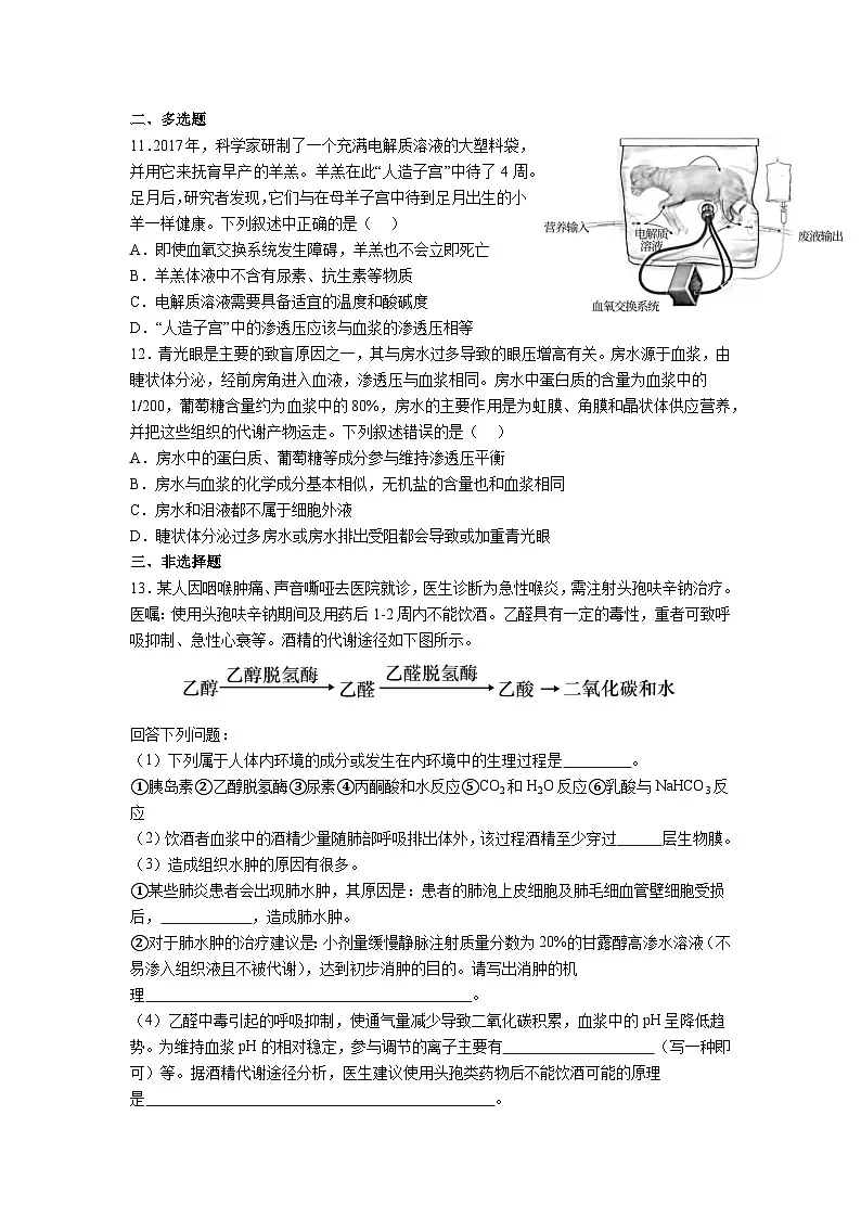 高中人教版生物选择性必修1同步作业及答案-第1章 第1节 细胞生活的环境第3页