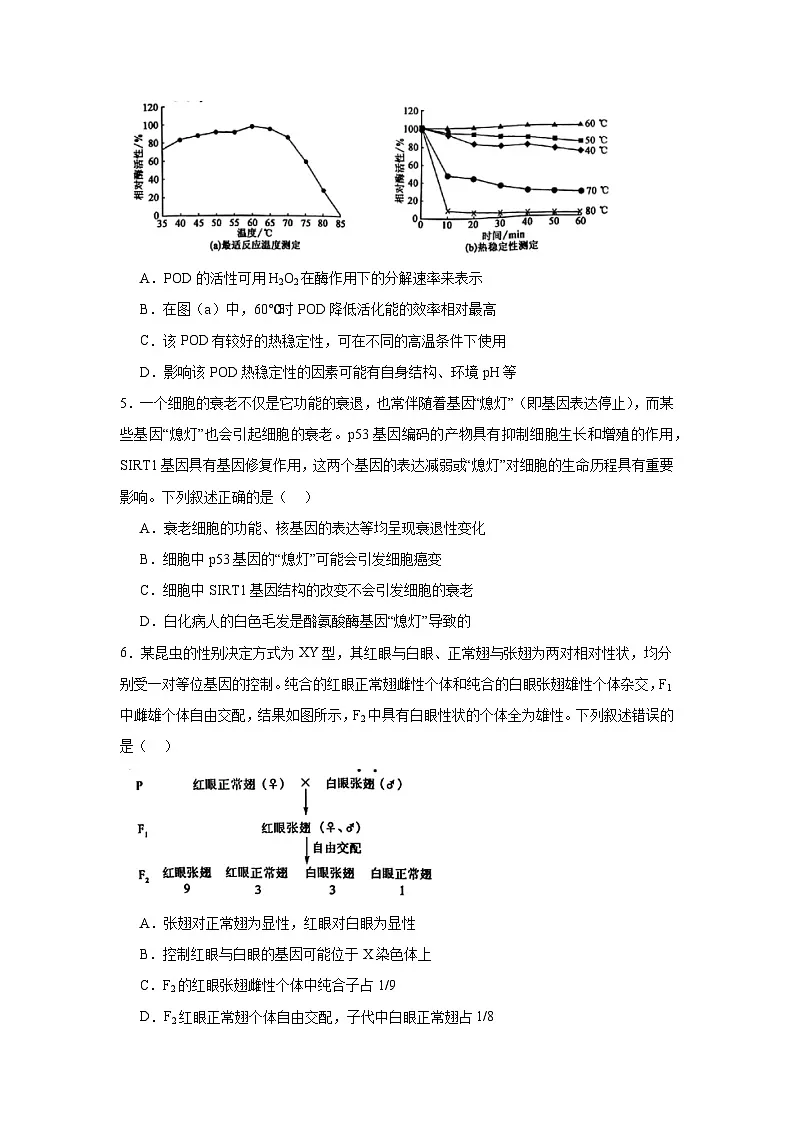 2025届河南省九师联盟高三下学期模拟预测生物试卷(无答案)第2页