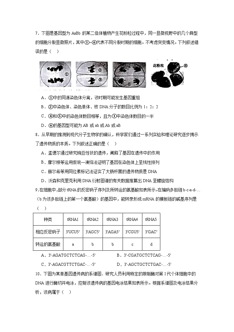 2025届河南省九师联盟高三下学期模拟预测生物试卷(无答案)第3页