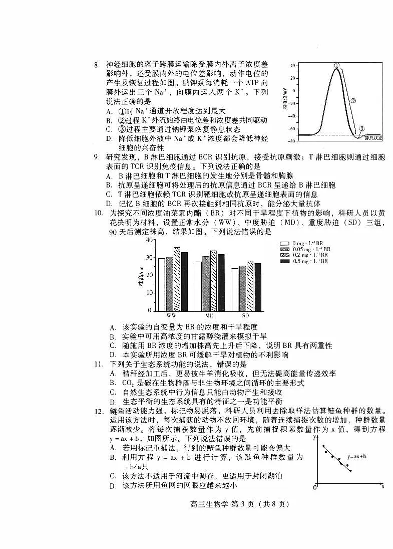 山东省潍坊市2025届高三高考模拟考试生物第3页