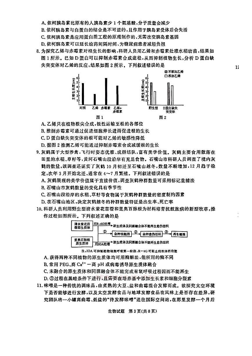 生物第3页