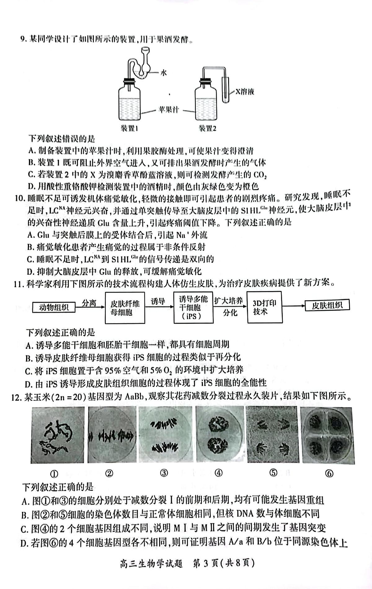 厦门市2025 届高三毕业班第四次质量检测-生物试卷第3页