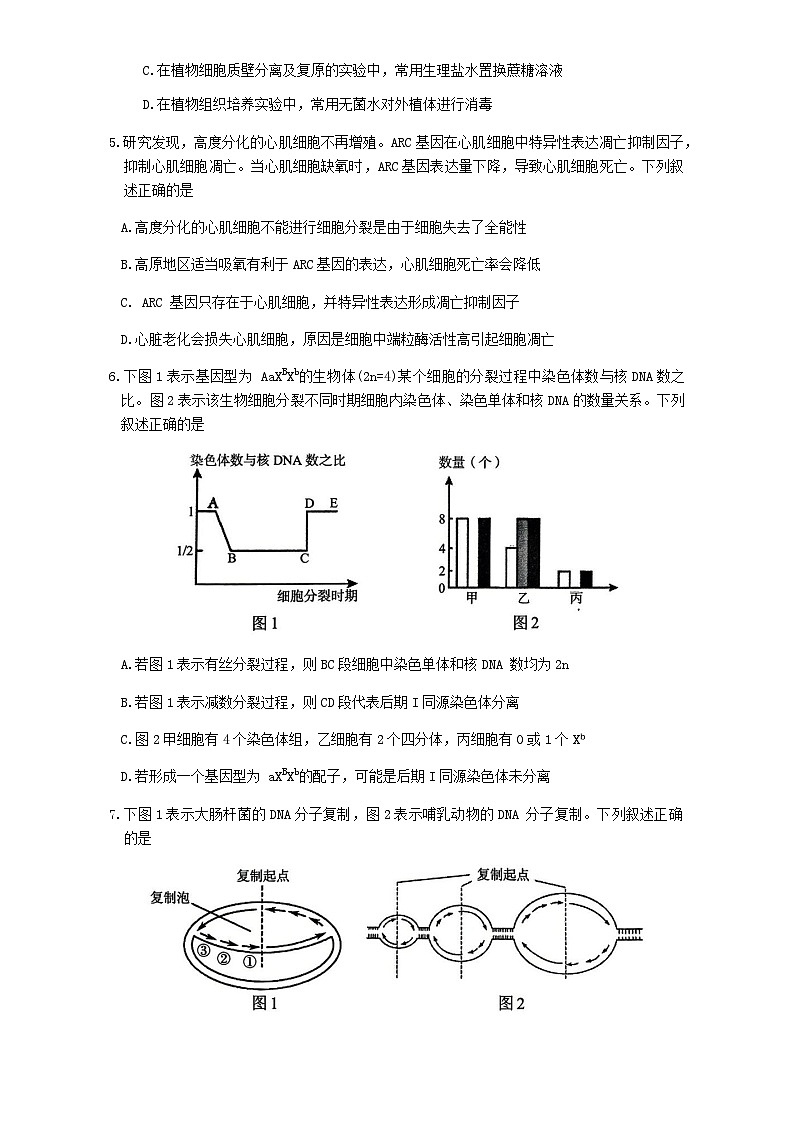 江苏省南京市2025届高三下学期第二次模拟考试生物学试题(有答案)第2页
