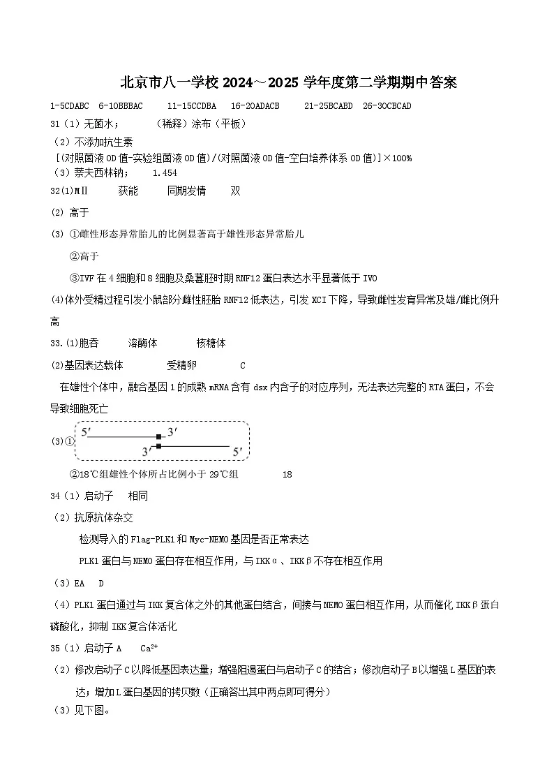 2024~2025学年度第二学期期中试卷-答案第1页