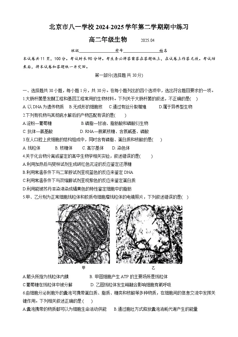 2024~2025学年度第二学期期中试卷-高二生物第1页