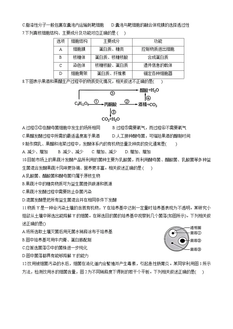 2024~2025学年度第二学期期中试卷-高二生物第2页