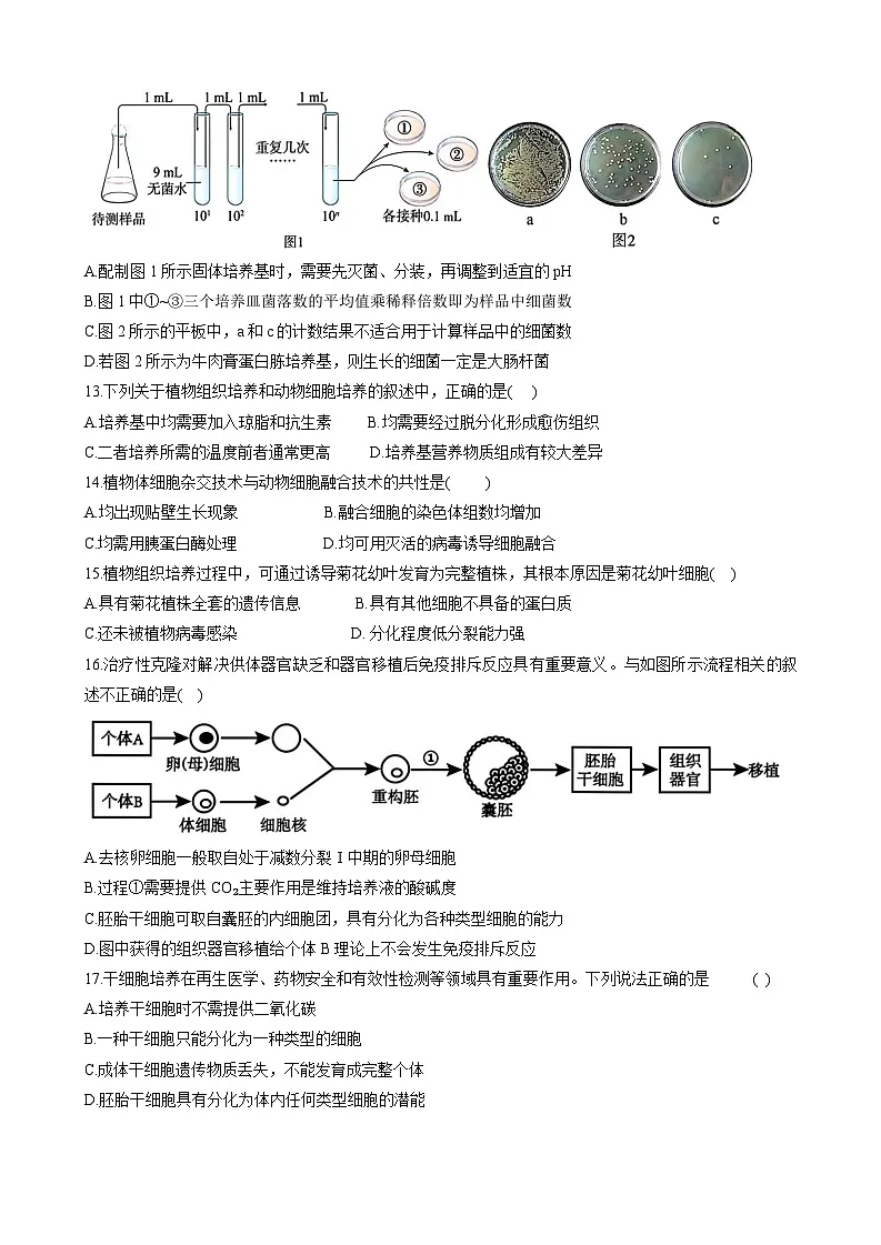 2024~2025学年度第二学期期中试卷-高二生物第3页