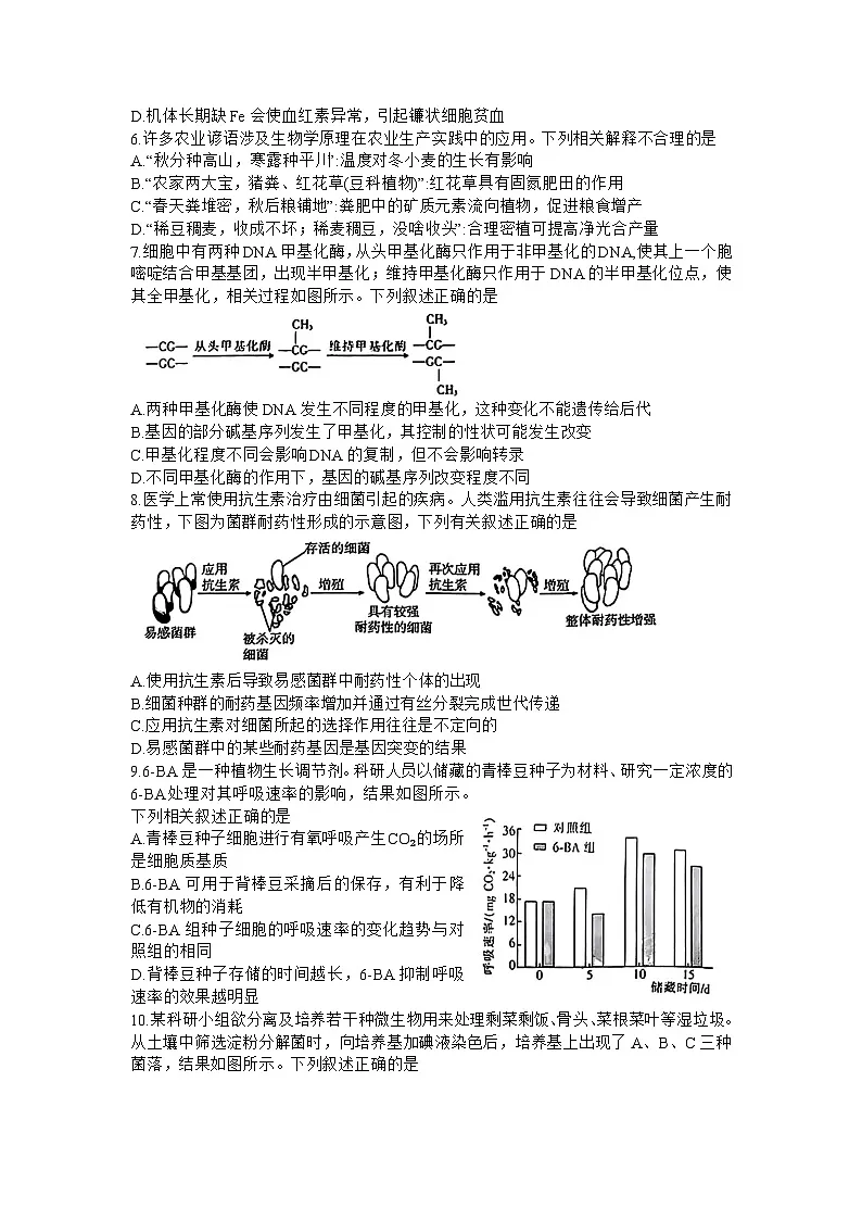 广东省金太阳2024年(届)高三年级下学期5月联考生物试卷(含答案)第2页