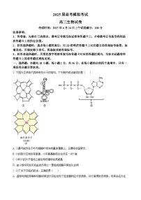 2025 届湖北省“黄鄂鄂”高三下学期 4 月联考生物试题（高考模拟）
