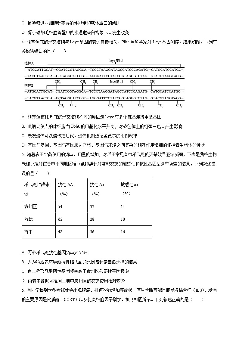 2025年江西省宜春市高三下学期模拟考试生物试题(高考模拟)第2页