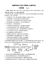 广东省普宁市勤建学校2024-2025学年高三上学期10月第二次调研考试生物试题