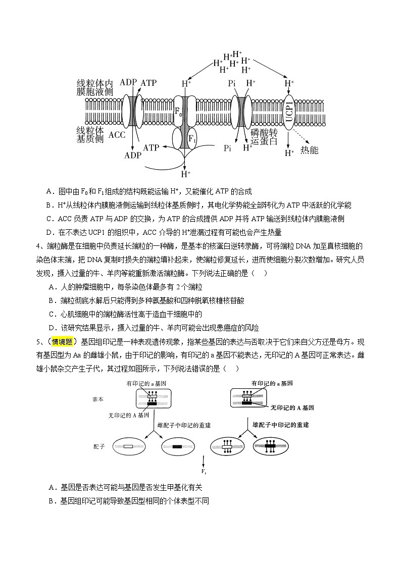 2025年高考押题预测卷:生物(天津卷01)(考试版)第2页