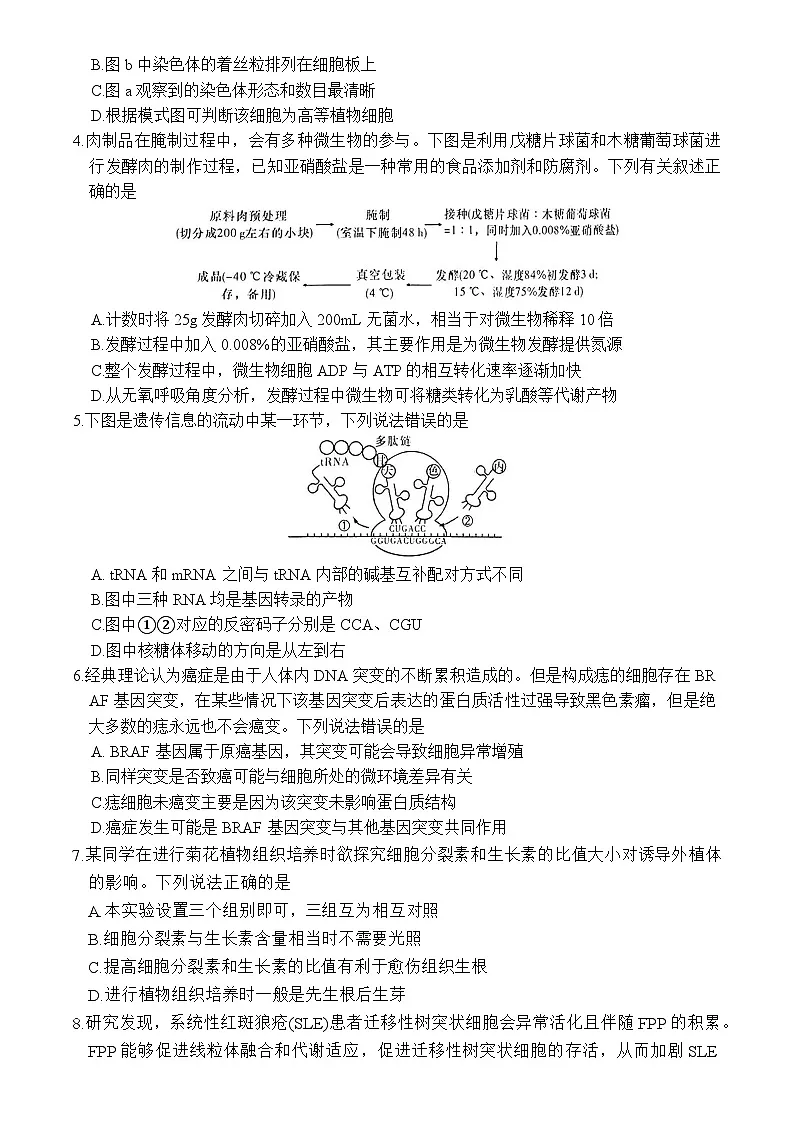 炎德英才名校联合体2025届高考模拟考前仿真联考(二)-生物试题+答案第2页